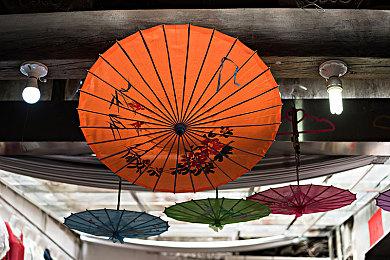 《EA SPORTS WRC》全新预告 国区售价228元